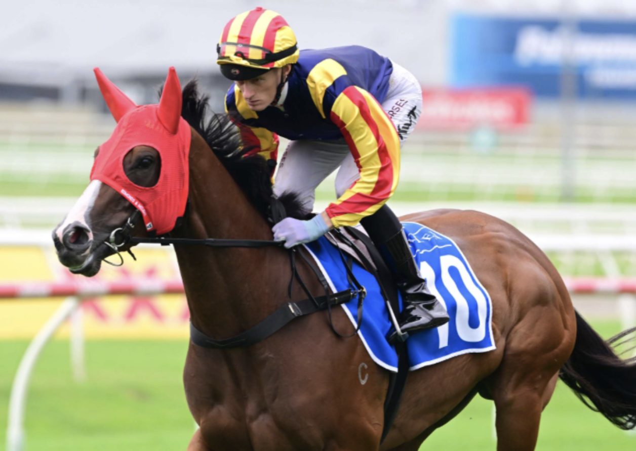 Spicy Martini in her distinctive red blinkers heads to the barriers