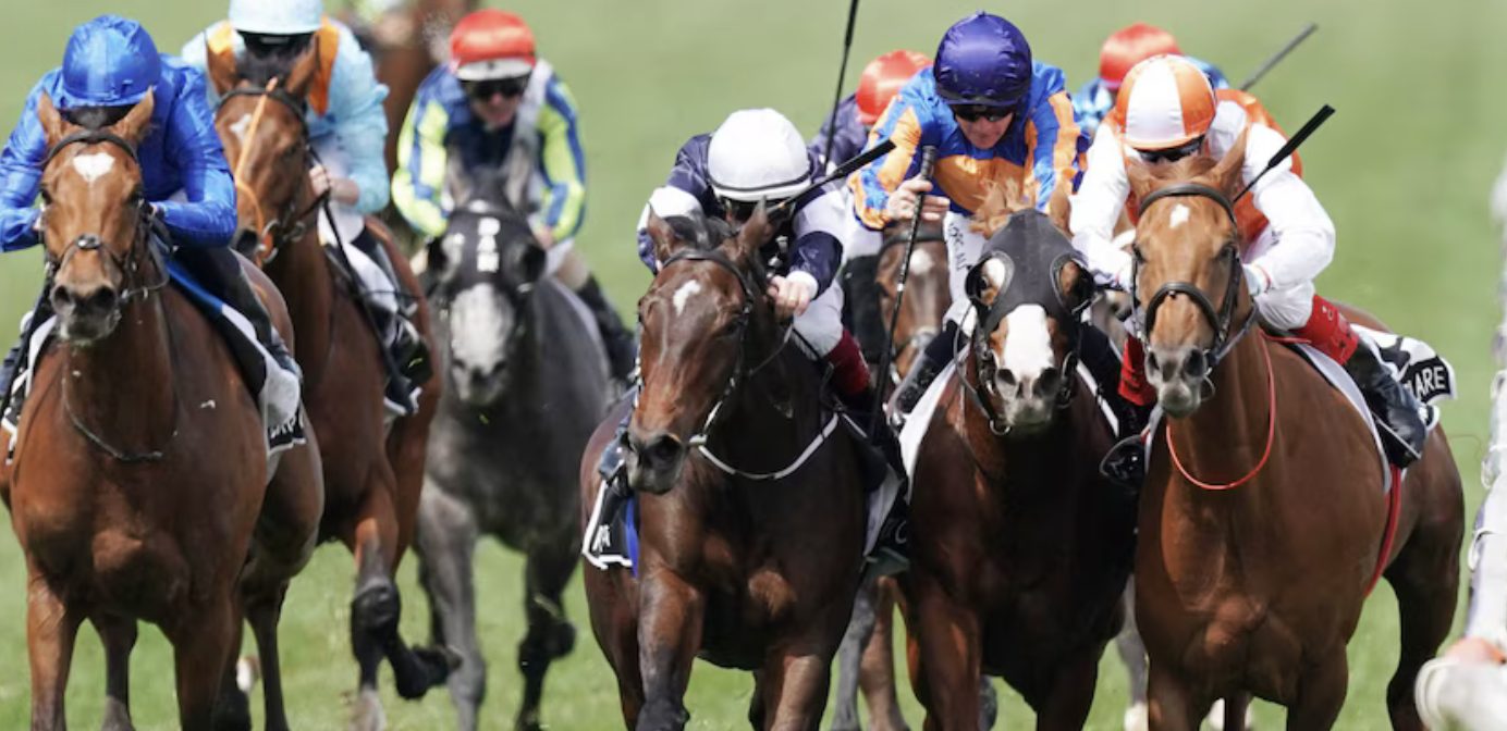 The field thunders down the straight — spring racing is back